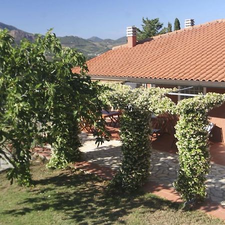 Lo Scoglio - Goelba Villa Capoliveri  Oda fotoğraf